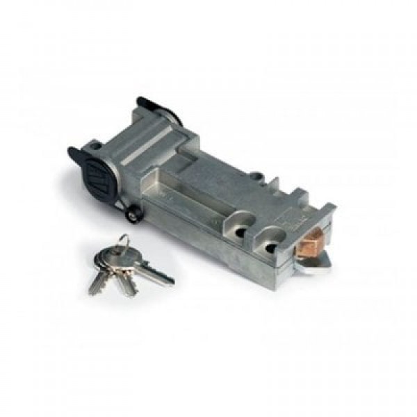 Came A4366 разблокировка для FROG-A с индивидуальным ключом (001A4366) Came A4366 разблокировка для FROG-A с индивидуальным ключом (001A4366)